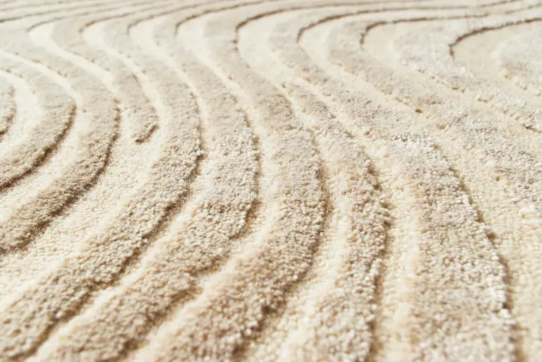 nettoyage-moquette-reims-Dormans-Épernay